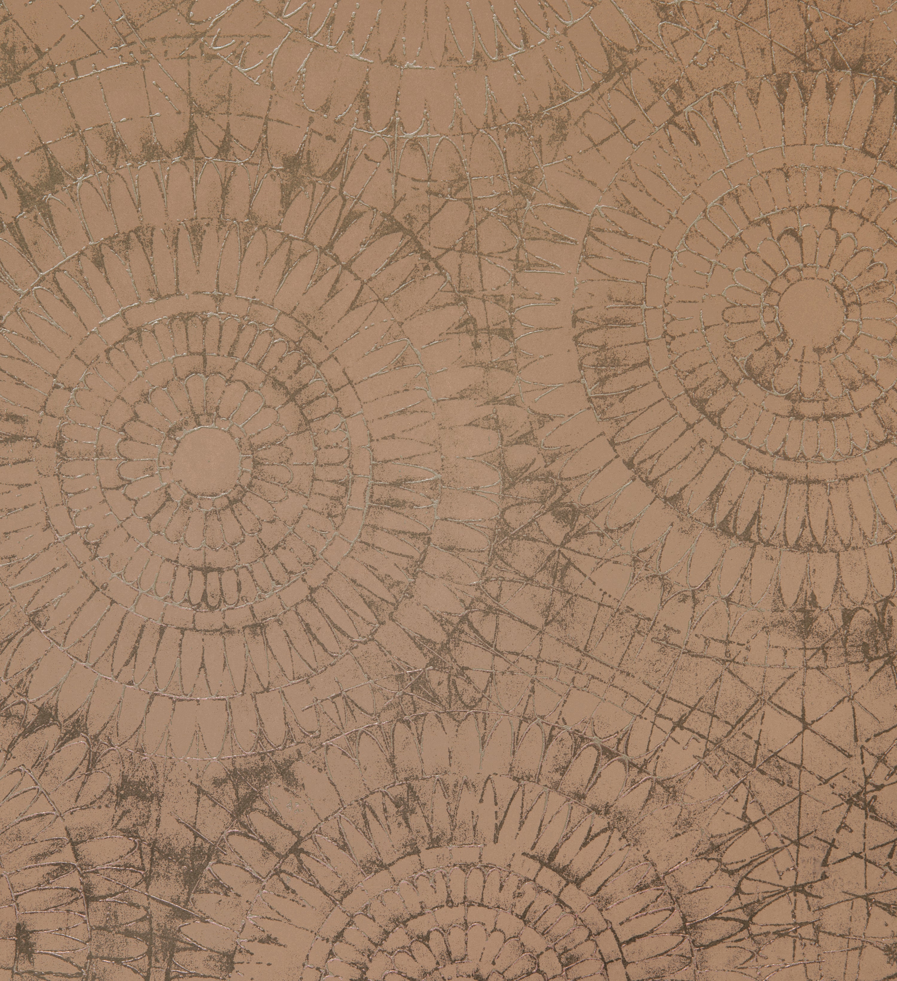 Notre Dame | Chalk - Hohenberger