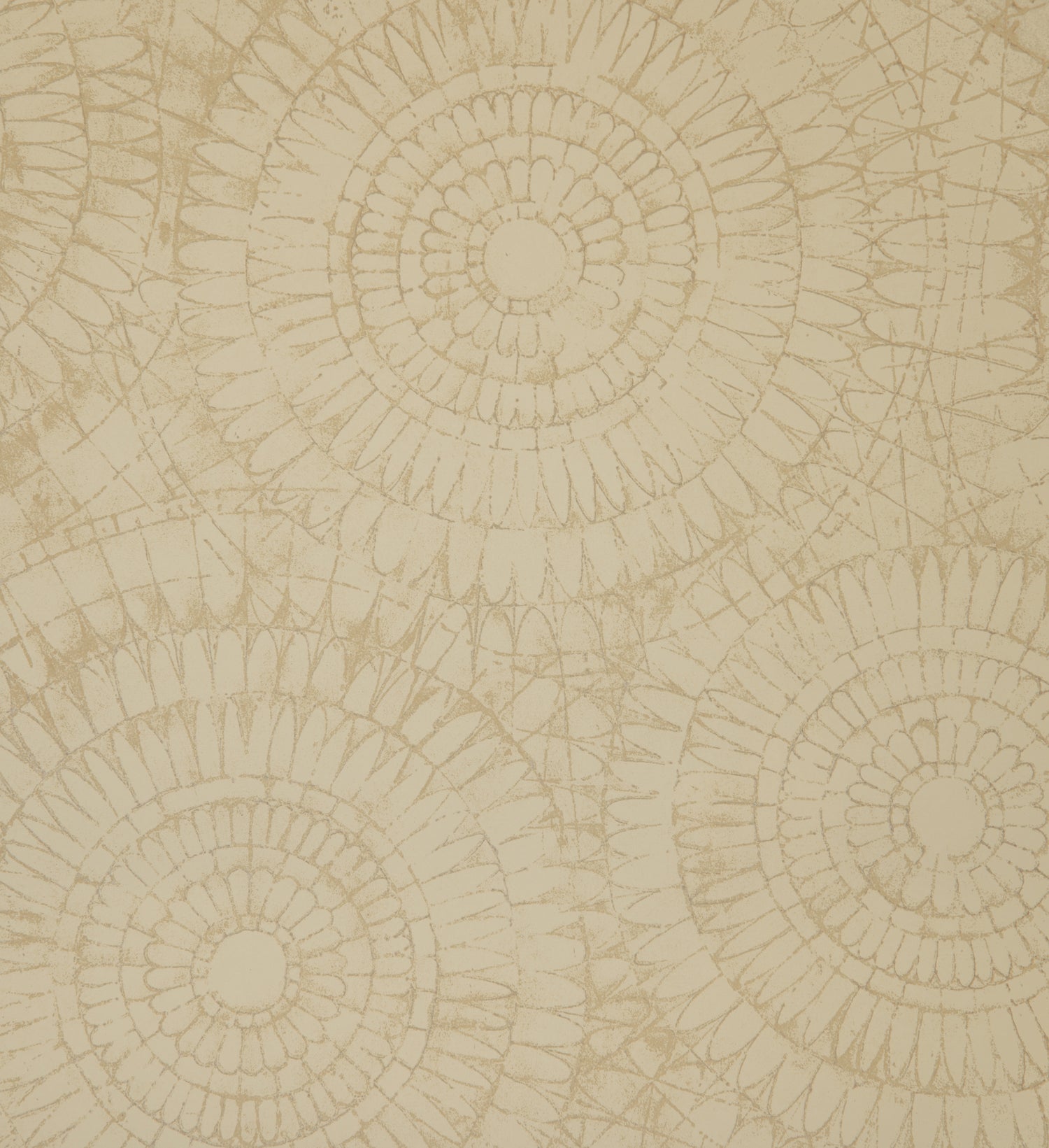 Notre Dame | Chalk - Hohenberger