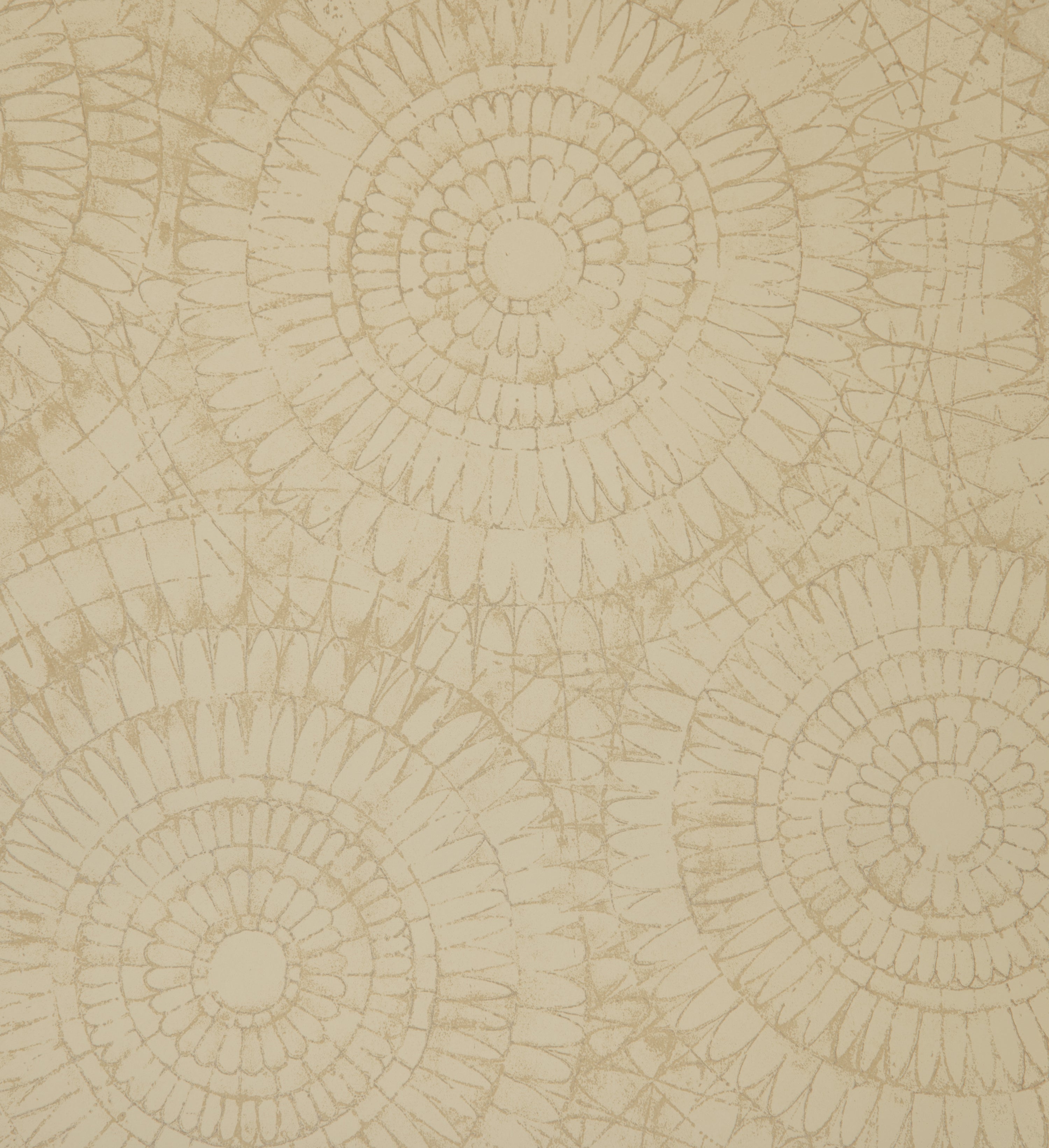 Notre Dame | Chalk - Hohenberger