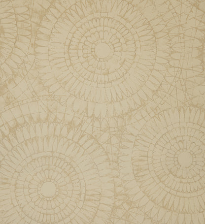 Notre Dame | Chalk - Hohenberger