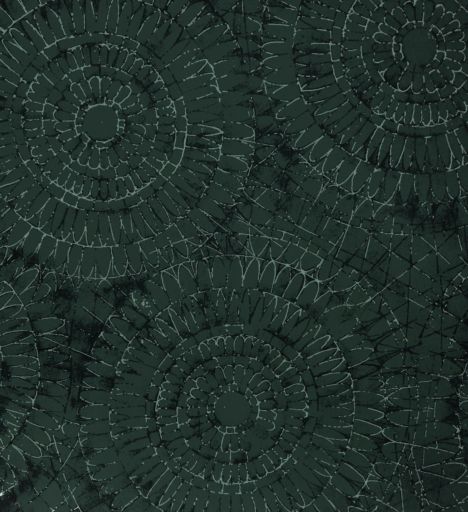 Notre Dame | Chalk - Hohenberger