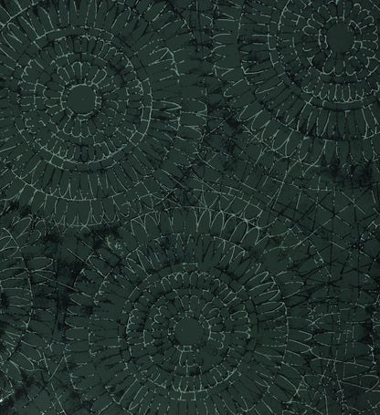 Notre Dame | Chalk - Hohenberger