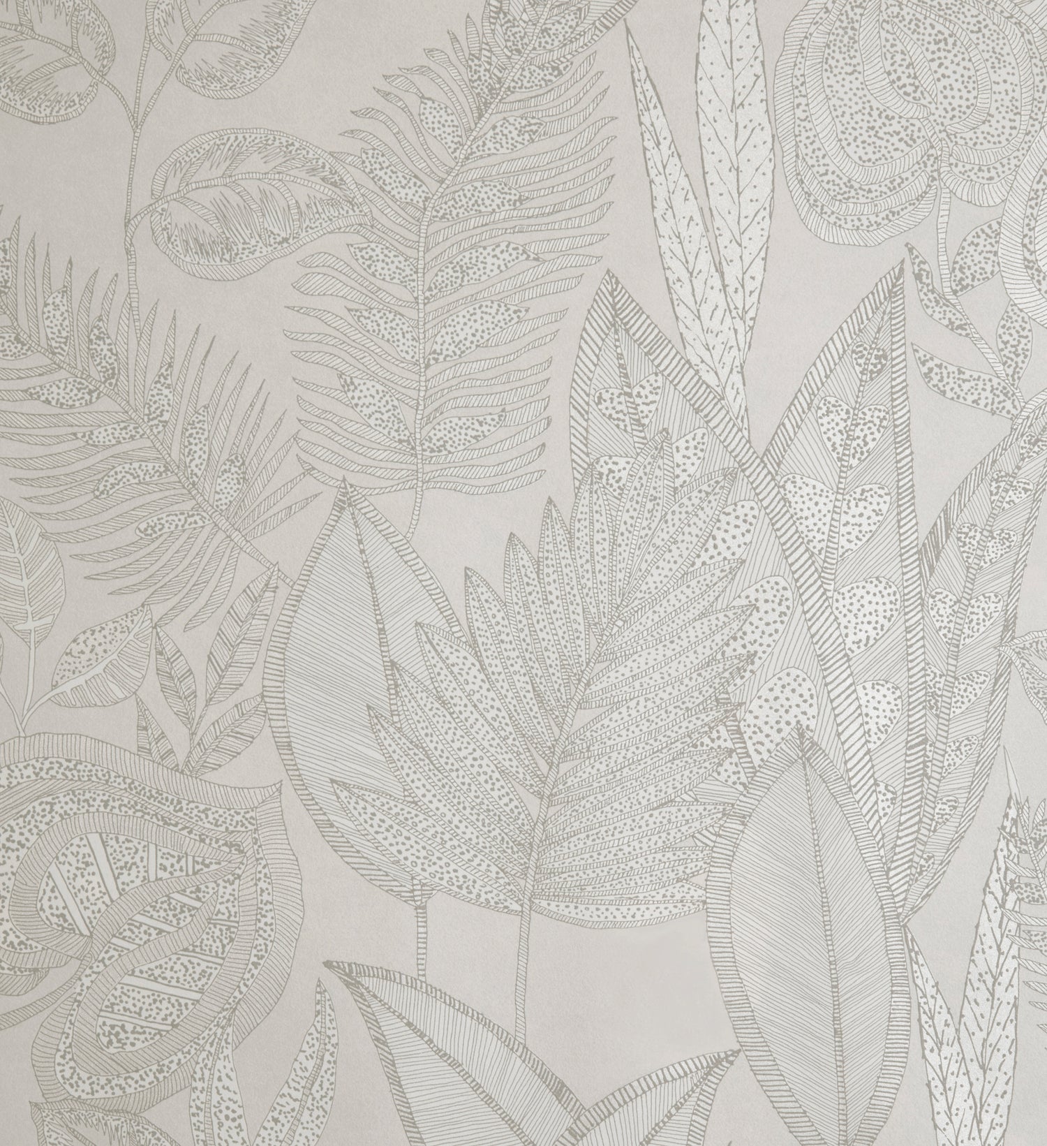 Pianta | Tesoro - Hohenberger