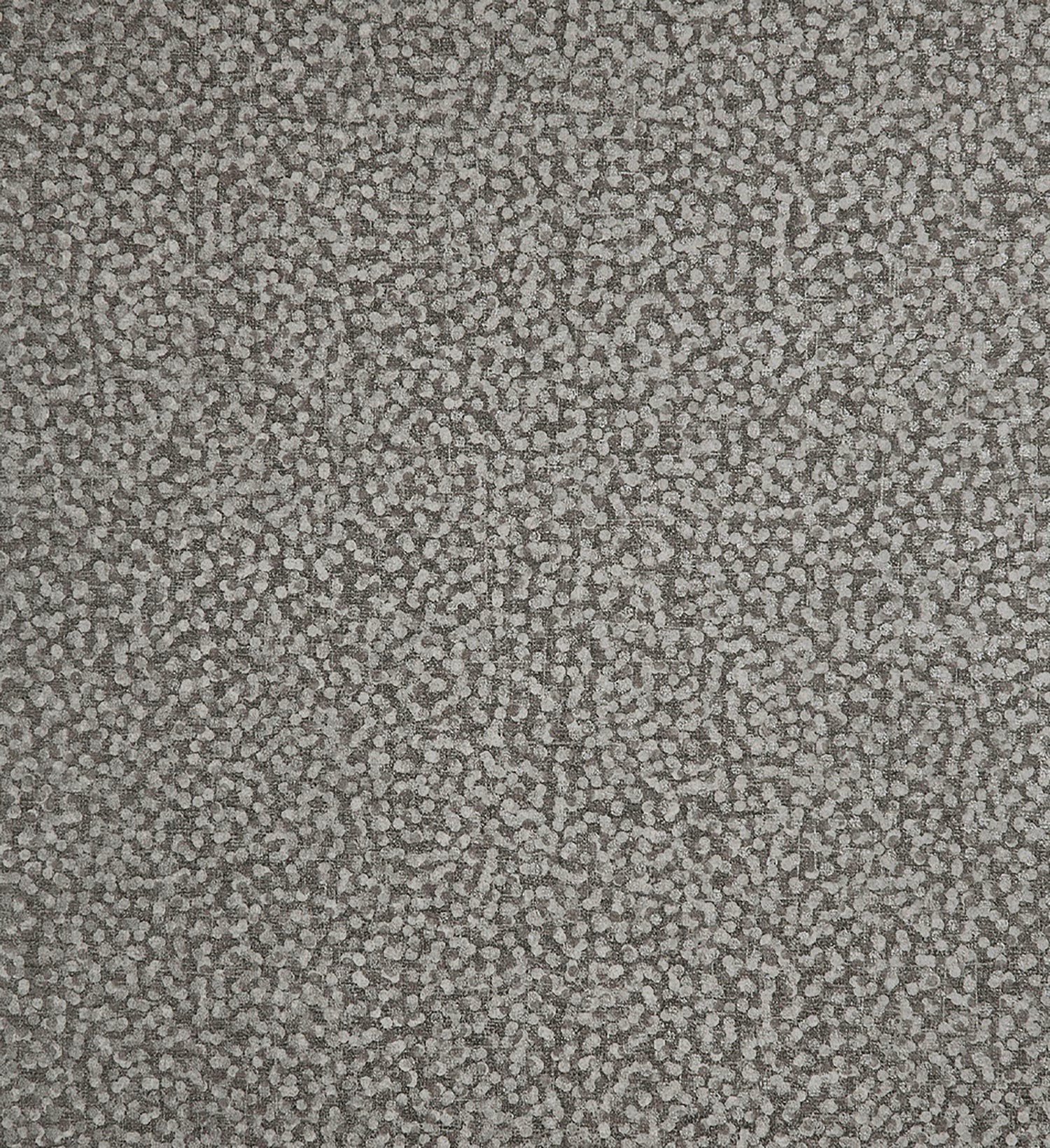 Punto | Tesoro - Hohenberger