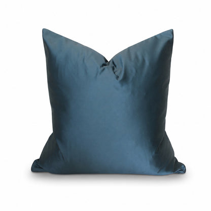 Square Pillow Cover 20" x 20" - South Face 64 - Beetle