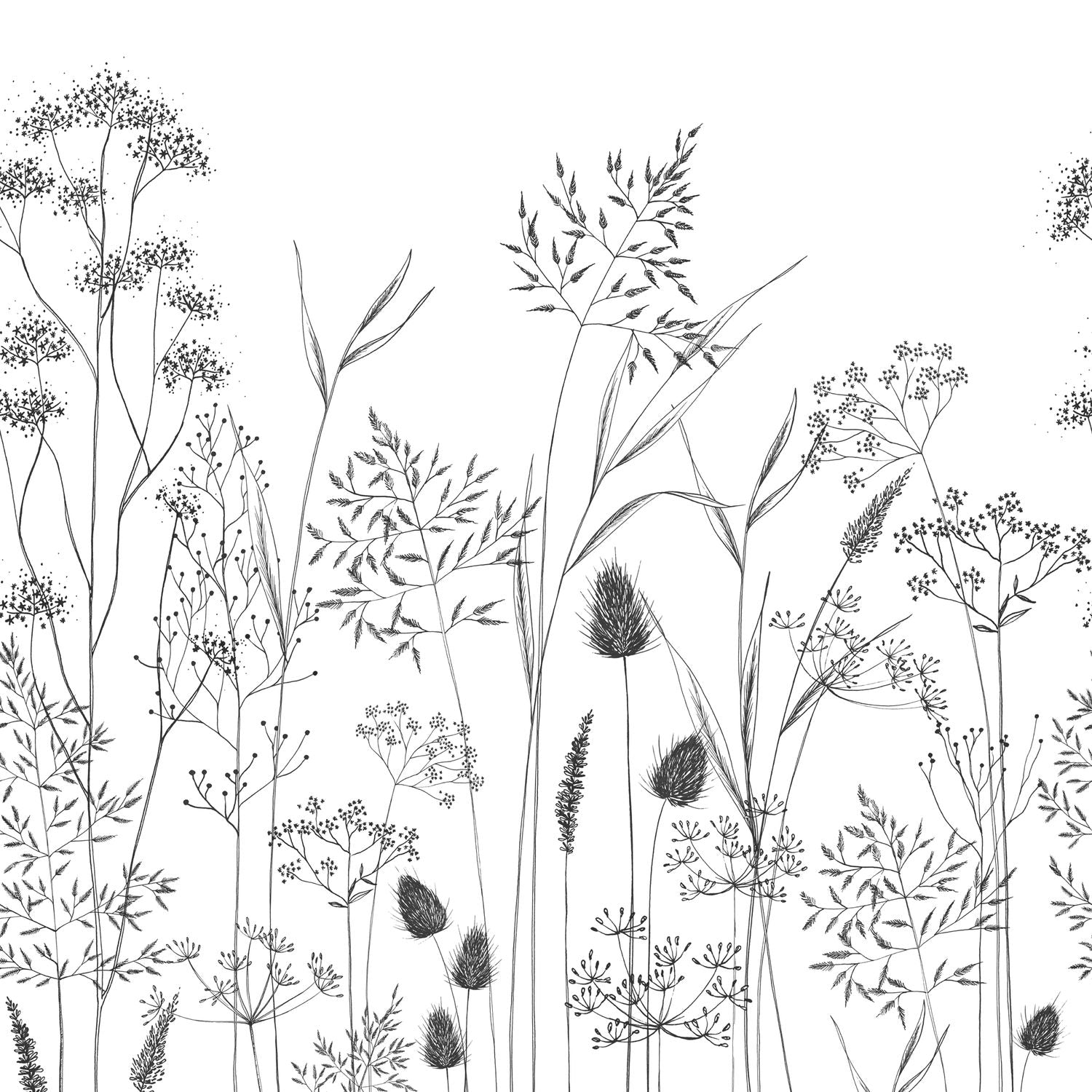 Capillaris | WonderWalls - Casadeco