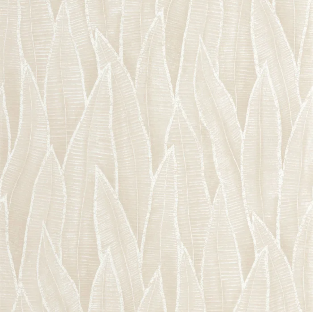 Sansevieria | Rio - Casadeco
