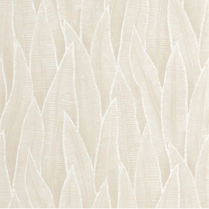 Sansevieria | Rio - Casadeco