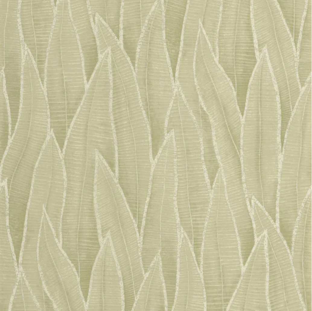 Sansevieria | Rio - Casadeco