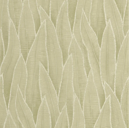 Sansevieria | Rio - Casadeco