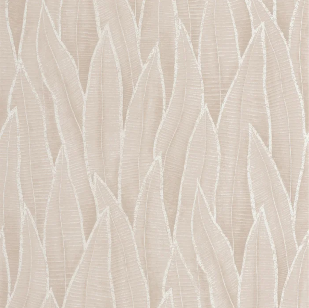 Sansevieria | Rio - Casadeco