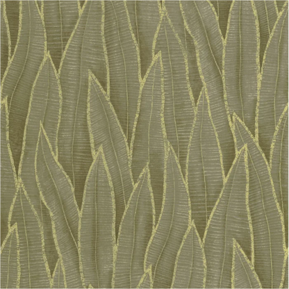 Sansevieria | Rio - Casadeco
