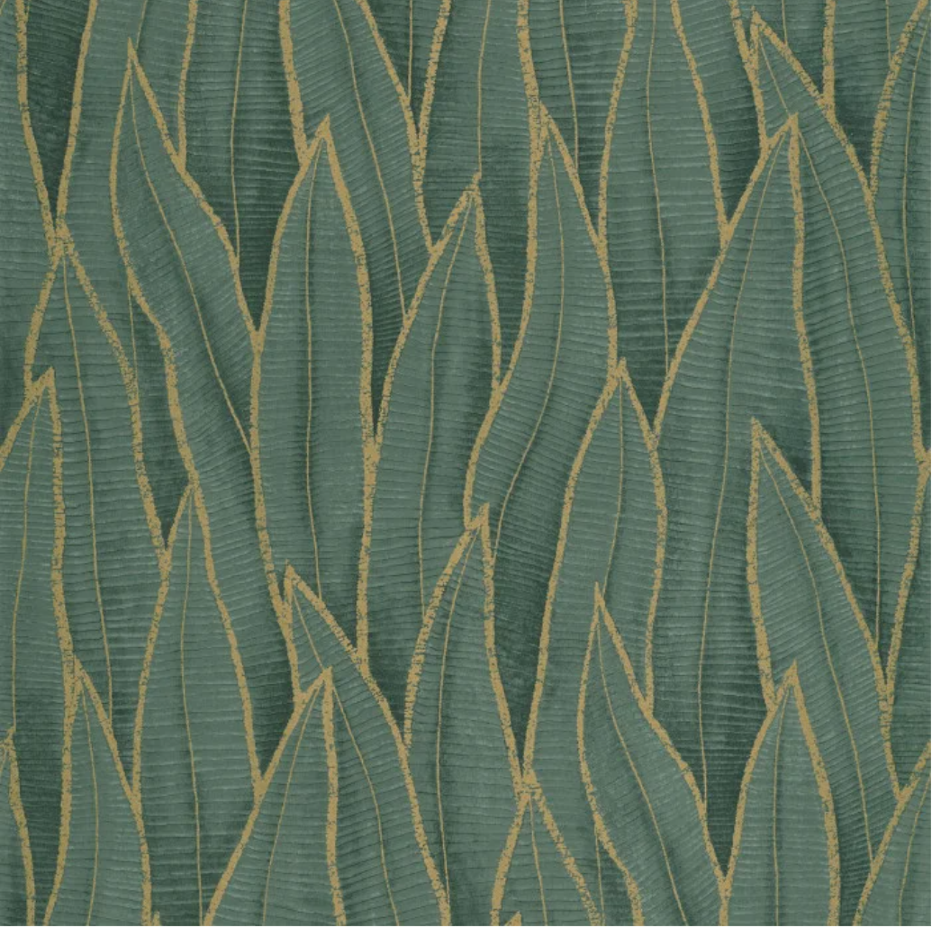 Sansevieria | Rio - Casadeco