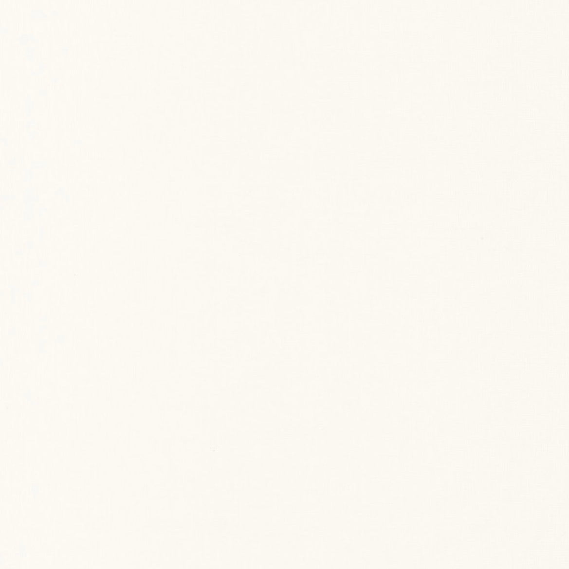 Linen Uni | Moonlight II - Caselio