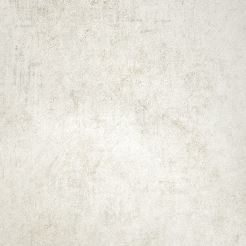 Minerva | Divino - Hohenberger