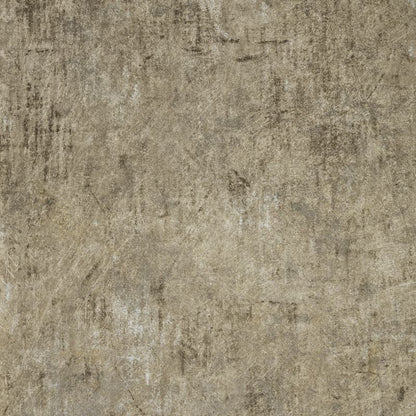 Minerva | Divino - Hohenberger