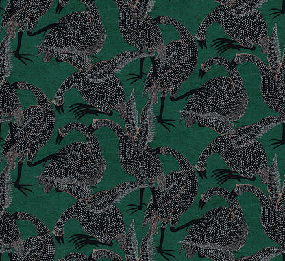 Guinea | Terra - Masureel