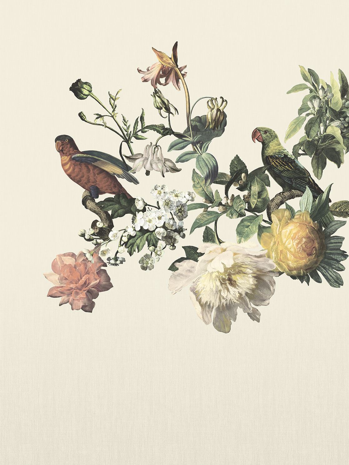 Big Birds | Museum - Eijffinger