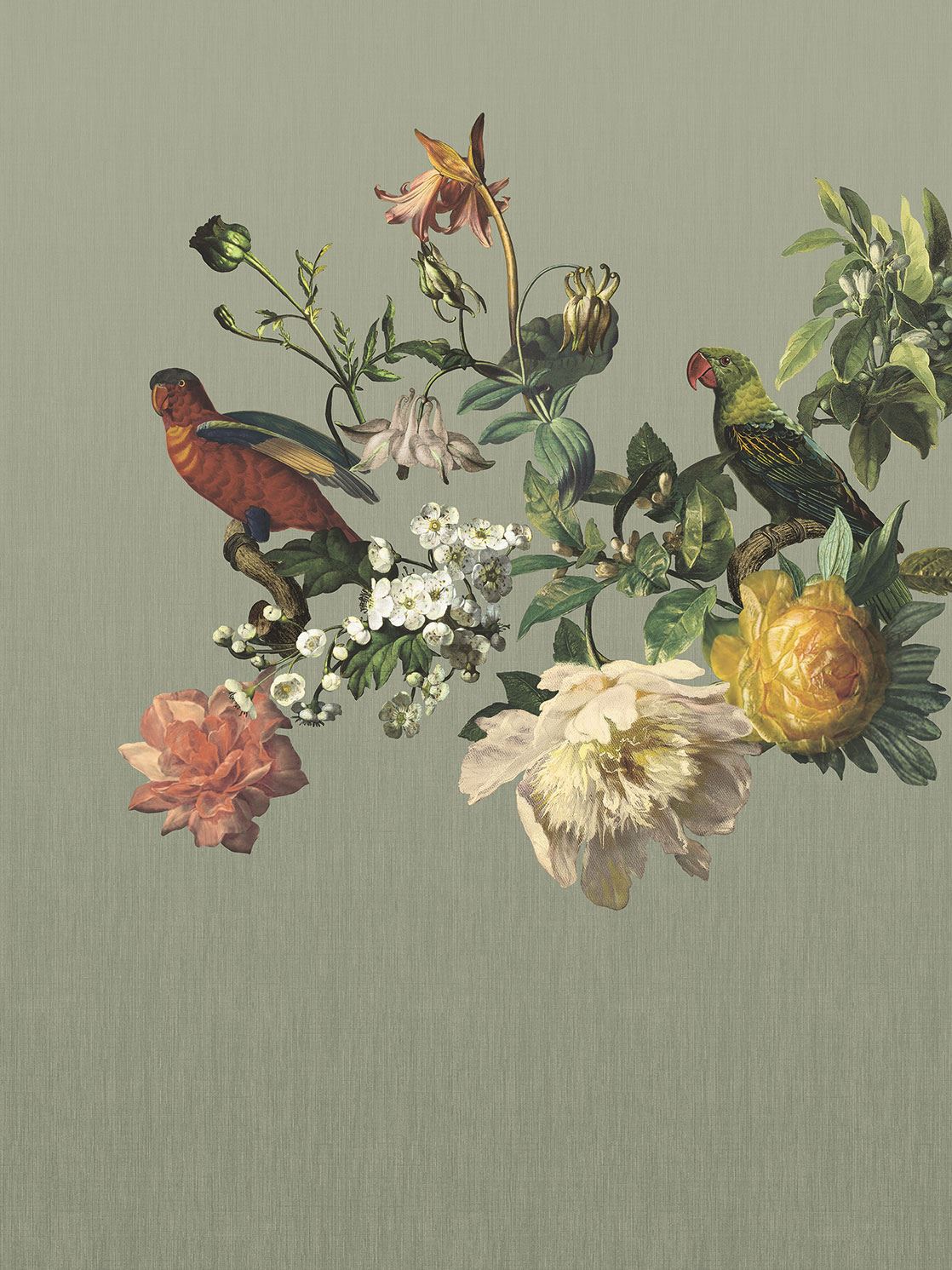 Big Birds | Museum - Eijffinger