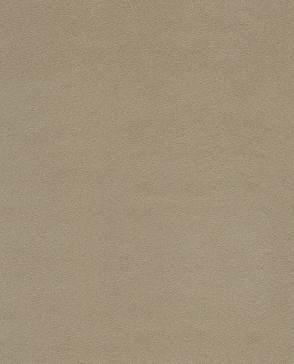 Brush