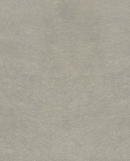 Brush